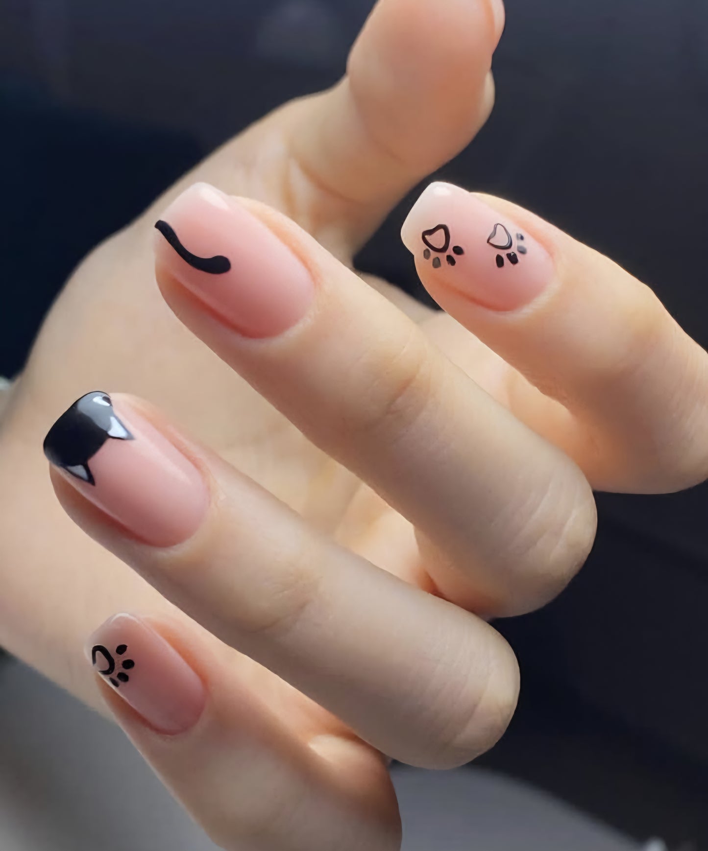 Paw and Whiskers