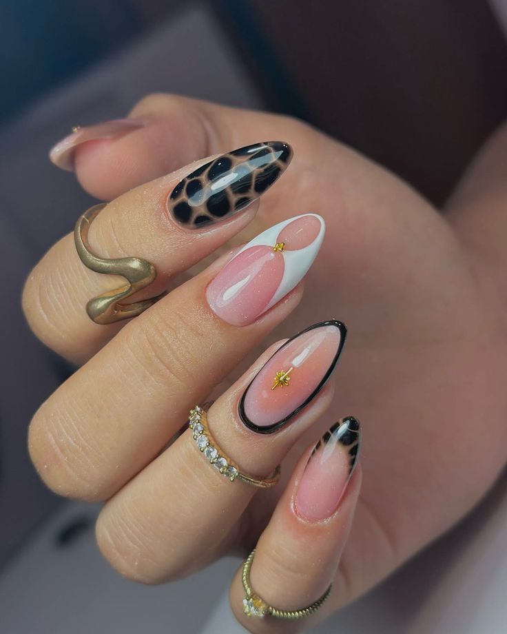 Wild Contrast